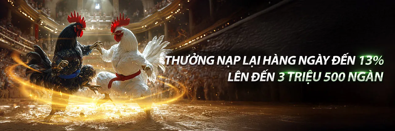 Đá gà tf88 trực tuyến với những trận đấu kịch tính